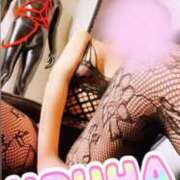 ヒメ日記 2025/06/07 22:56 投稿 うるは 変態なんでも鑑定団