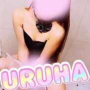 ヒメ日記 2025/06/14 14:36 投稿 うるは 変態なんでも鑑定団