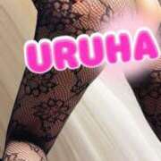 ヒメ日記 2025/06/26 22:46 投稿 うるは 変態なんでも鑑定団