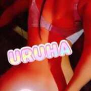 ヒメ日記 2025/09/05 15:56 投稿 うるは 変態なんでも鑑定団