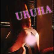 ヒメ日記 2025/10/01 18:26 投稿 うるは 変態なんでも鑑定団