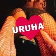 ヒメ日記 2025/12/06 05:06 投稿 うるは 変態なんでも鑑定団