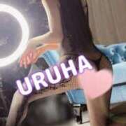 うるは お礼💓 変態なんでも鑑定団