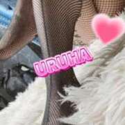 うるは お礼💓 変態なんでも鑑定団