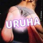 ヒメ日記 2025/12/18 05:06 投稿 うるは 変態なんでも鑑定団