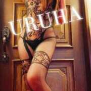 ヒメ日記 2025/12/22 02:59 投稿 うるは 変態なんでも鑑定団