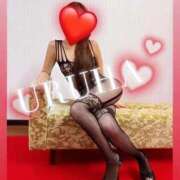 ヒメ日記 2025/12/31 03:06 投稿 うるは 変態なんでも鑑定団