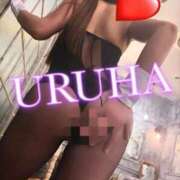 ヒメ日記 2026/01/29 01:35 投稿 うるは 変態なんでも鑑定団