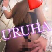 ヒメ日記 2026/01/31 20:18 投稿 うるは 変態なんでも鑑定団