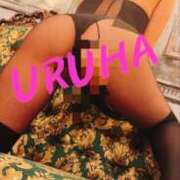 ヒメ日記 2026/02/11 19:36 投稿 うるは 変態なんでも鑑定団