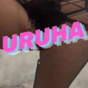 ヒメ日記 2026/02/12 03:26 投稿 うるは 変態なんでも鑑定団