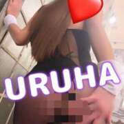 ヒメ日記 2026/02/20 18:39 投稿 うるは 変態なんでも鑑定団