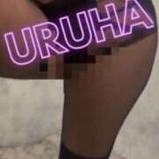 ヒメ日記 2026/02/25 17:36 投稿 うるは 変態なんでも鑑定団