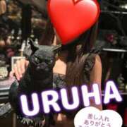 ヒメ日記 2026/02/28 04:06 投稿 うるは 変態なんでも鑑定団