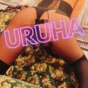 ヒメ日記 2026/02/28 04:27 投稿 うるは 変態なんでも鑑定団