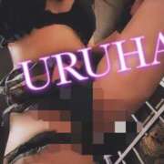 ヒメ日記 2026/03/01 01:46 投稿 うるは 変態なんでも鑑定団