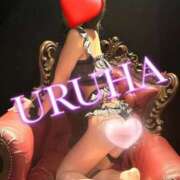 ヒメ日記 2026/03/06 16:41 投稿 うるは 変態なんでも鑑定団