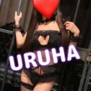 ヒメ日記 2026/03/06 18:40 投稿 うるは 変態なんでも鑑定団