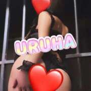 ヒメ日記 2026/03/07 00:46 投稿 うるは 変態なんでも鑑定団