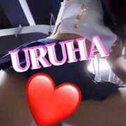 ヒメ日記 2026/03/07 06:05 投稿 うるは 変態なんでも鑑定団