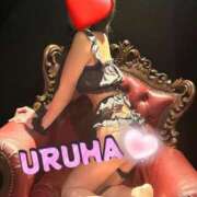 ヒメ日記 2026/03/11 21:12 投稿 うるは 変態なんでも鑑定団