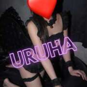 ヒメ日記 2026/03/14 00:36 投稿 うるは 変態なんでも鑑定団