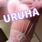 ヒメ日記 2026/04/06 00:26 投稿 うるは 変態なんでも鑑定団