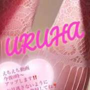 ヒメ日記 2026/06/17 20:16 投稿 うるは 変態なんでも鑑定団