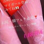 ヒメ日記 2026/06/26 12:18 投稿 うるは 変態なんでも鑑定団