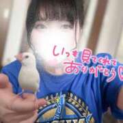 ヒメ日記 2025/06/03 02:56 投稿 あみな 木更津人妻花壇