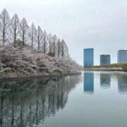 ヒメ日記 2025/04/11 10:18 投稿 あみか スピード梅田店