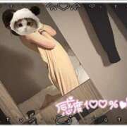 ヒメ日記 2025/03/01 17:42 投稿 もみか 横浜・関内サンキュー