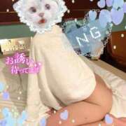 ヒメ日記 2025/03/19 15:52 投稿 もみか 横浜・関内サンキュー