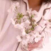 ヒメ日記 2025/04/05 18:08 投稿 もみか 横浜・関内サンキュー