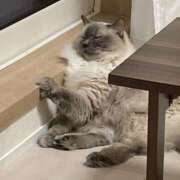 ヒメ日記 2025/06/30 17:28 投稿 みぃみ クラブハート