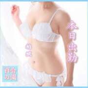 ヒメ日記 2025/03/01 09:41 投稿 柏城(かしわぎ) 熟女出逢い会 『百合の園』 五反田店