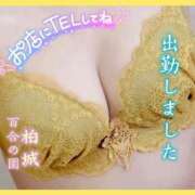 ヒメ日記 2025/03/02 13:51 投稿 柏城(かしわぎ) 熟女出逢い会 『百合の園』 五反田店