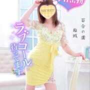 柏城(かしわぎ) 出勤 熟女出逢い会 『百合の園』 五反田店