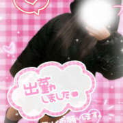 ヒメ日記 2025/01/13 18:39 投稿 柿本 ほまれ 一夜妻