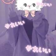 ヒメ日記 2025/03/09 07:09 投稿 柿本 ほまれ 一夜妻