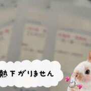 ヒメ日記 2025/03/14 11:10 投稿 柿本 ほまれ 一夜妻