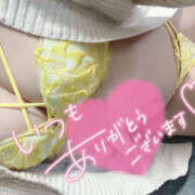 ヒメ日記 2025/03/23 20:39 投稿 柿本 ほまれ 一夜妻