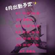 ヒメ日記 2025/03/27 17:09 投稿 柿本 ほまれ 一夜妻