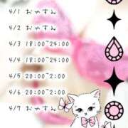 ヒメ日記 2025/03/29 12:09 投稿 柿本 ほまれ 一夜妻