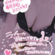 ヒメ日記 2025/04/03 17:09 投稿 柿本 ほまれ 一夜妻