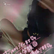 ヒメ日記 2025/04/07 07:09 投稿 柿本 ほまれ 一夜妻