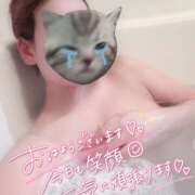 ヒメ日記 2025/04/11 15:09 投稿 柿本 ほまれ 一夜妻