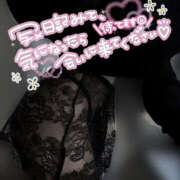 ヒメ日記 2025/04/12 18:09 投稿 柿本 ほまれ 一夜妻