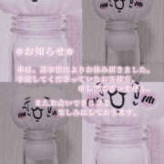 ヒメ日記 2025/05/07 12:39 投稿 柿本 ほまれ 一夜妻