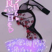 ヒメ日記 2025/05/19 18:09 投稿 柿本 ほまれ 一夜妻